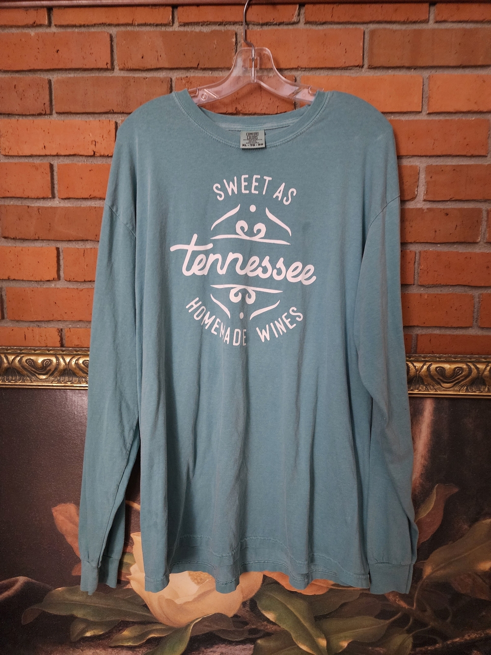 Comfort Colors Women's Long-Sleeve Tee in Light Teal with White Graphic XL